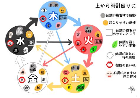 五行 健康|カラダは5つに分類される「五行説」とは｜東洋医学 